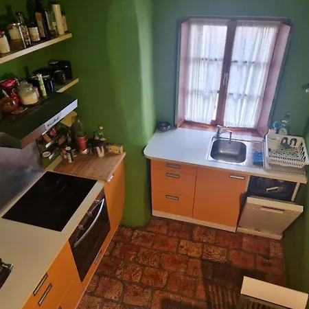 Magic Garden In The Heart Of * Ljubljana