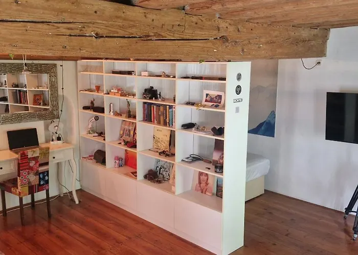 Magic Garden In The Heart Of * Ljubljana