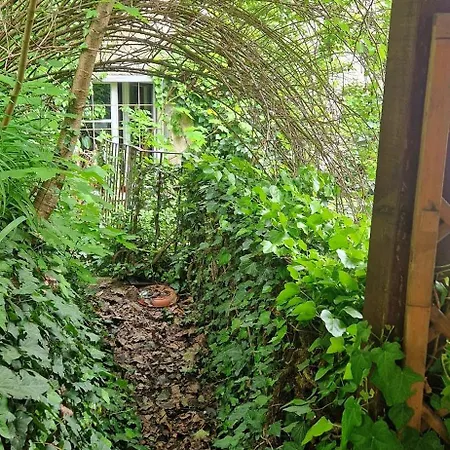 Daire Magic Garden In The Heart Of *