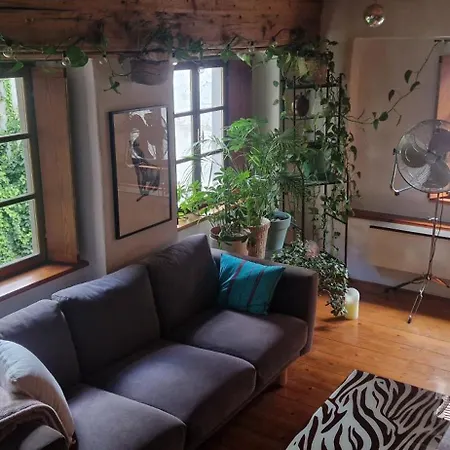 Magic Garden In The Heart Of Appartement