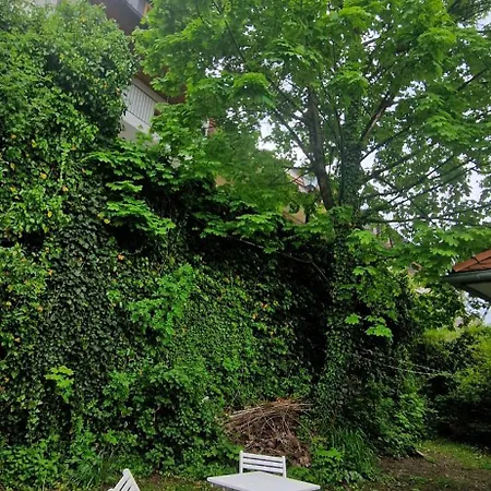 Magic Garden In The Heart Of