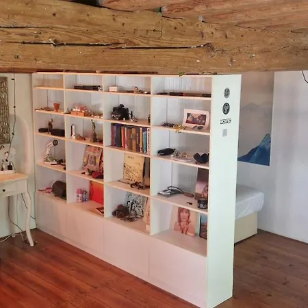 Magic Garden In The Heart Of * リュブリャナ